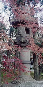 Kyoto