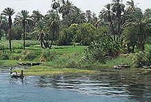 The Nile