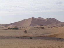 The Sahara dessert