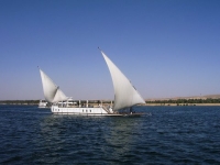 d1000154
