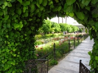 sam_0274
